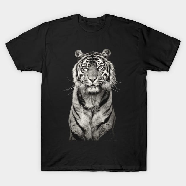 White tiger T-Shirt by enchantingants